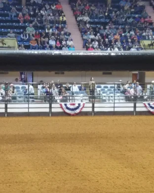 Xtreme Bulls